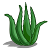 crop_aloe_farmville Aloe Vera Coste: 50 Tiempo crecimiento: 6 Horas 11 Segundos Monedas que produce: 85 XP que produce: 1 Tamaño: 4x4