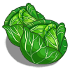Cabbage Categoria: Vegetables Coste: 140 Tiempo crecimiento: 1 Dia 22 Horas  Monedas que produce: 388 XP que produce: 2 Tamaño: 4x4