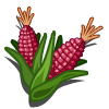 Sweet Corn Categoria: Grains Coste: 10 Tiempo crecimiento: 6 Horas 11 Segundos Monedas que produce: 125 XP que produce: 3 Tamaño: 4x4