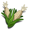 White Corn Promoción: ninguna Categoria: Grains Coste: 10 Tiempo crecimiento: 6 Horas 11 Segundos Monedas que produce: 125 XP que produce: 3 Tamaño: 4x4
