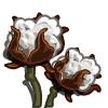 Cotton Categoria:  Coste: 75 Tiempo crecimiento: 2 Dias 21 Horas  Monedas que produce: 207 XP que produce: 2 Tamaño: 4x4