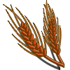 crop_wheatred_farmville Red Wheat Categoria: Grains Coste: 180 Tiempo crecimiento: 2 Dias 21 Horas Monedas que produce: 449 XP que produce: 2 Tamaño: 4x4