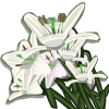 Lilies Categoria: Flowers Coste: 195 Tiempo crecimiento: 23 Horas  Monedas que produce: 369 XP que produce: 2 Tamaño: 4x4