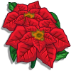 Poinsettia Promoción: Winter Categoria: Flowers Starts: 12/01/2009 Ends: 01/02/2010 Coste: 45 Tiempo crecimiento: 23 Horas  Monedas que produce: 126 XP que produce: 3 Tamaño: 4x4