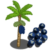tree_acai_farmville Acai Tree Categoria: Fruits Coste: 27 Monedas que produce: 158 Se vende por: 48 XP: 500