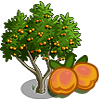 tree_apricot_farmville Apricot Tree Regalo Monedas que produce: 56 Se vende por: 30