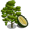 tree_durian_farmville Durian Tree Regalo Monedas que produce: 65 Se vende por: 65
