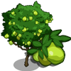 tree_guava_farmville Guava Tree Regalo Monedas que produce: 55 Se vende por: 34