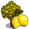 tree_lemon_farmville Lemon Tree Coste: 475 Monedas que produce: 41 Se vende por: 24