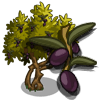 tree_olive_farmville Olive Tree Regalo Monedas que produce: 112 Se vende por: 60