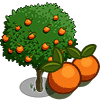 tree_orange_farmville Orange Tree Coste: 425 Monedas que produce: 40 Se vende por: 21