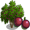tree_passionfruit_farmville Passion Fruit Tree Regalo Monedas que produce: 93 Se vende por: 46