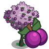 tree_plum_farmville Plum Tree Coste: 350 Monedas que produce: 30 Se vende por: 18
