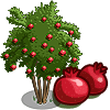 tree_pomegranate_farmville Pomegranate Tree Regalo Monedas que produce: 108 Se vende por: 54