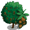 tree_walnut_farmville Walnut Tree Regalo Monedas que produce: 50 Se vende por: 29