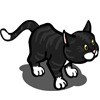 Black Cat Se vende por: 95 Tamaño: 1x1