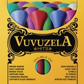 Vuvuzela hits