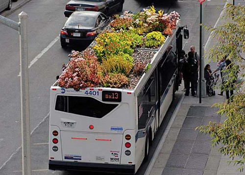 autobus ecologico con jardin