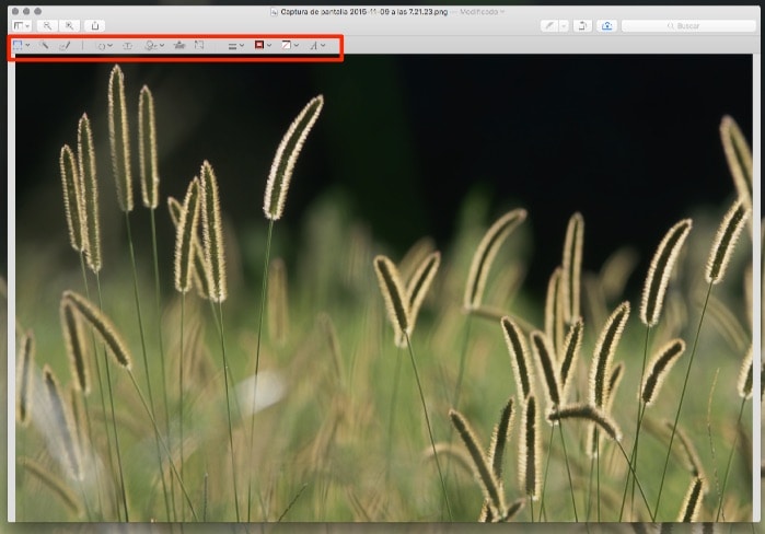 Quién necesita Photoshop cuando puedes editar imágenes con la Vista Previa de OS X en Mac