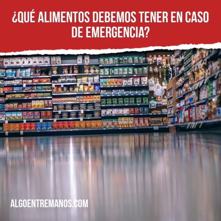 ¿Qué alimentos debemos tener en caso