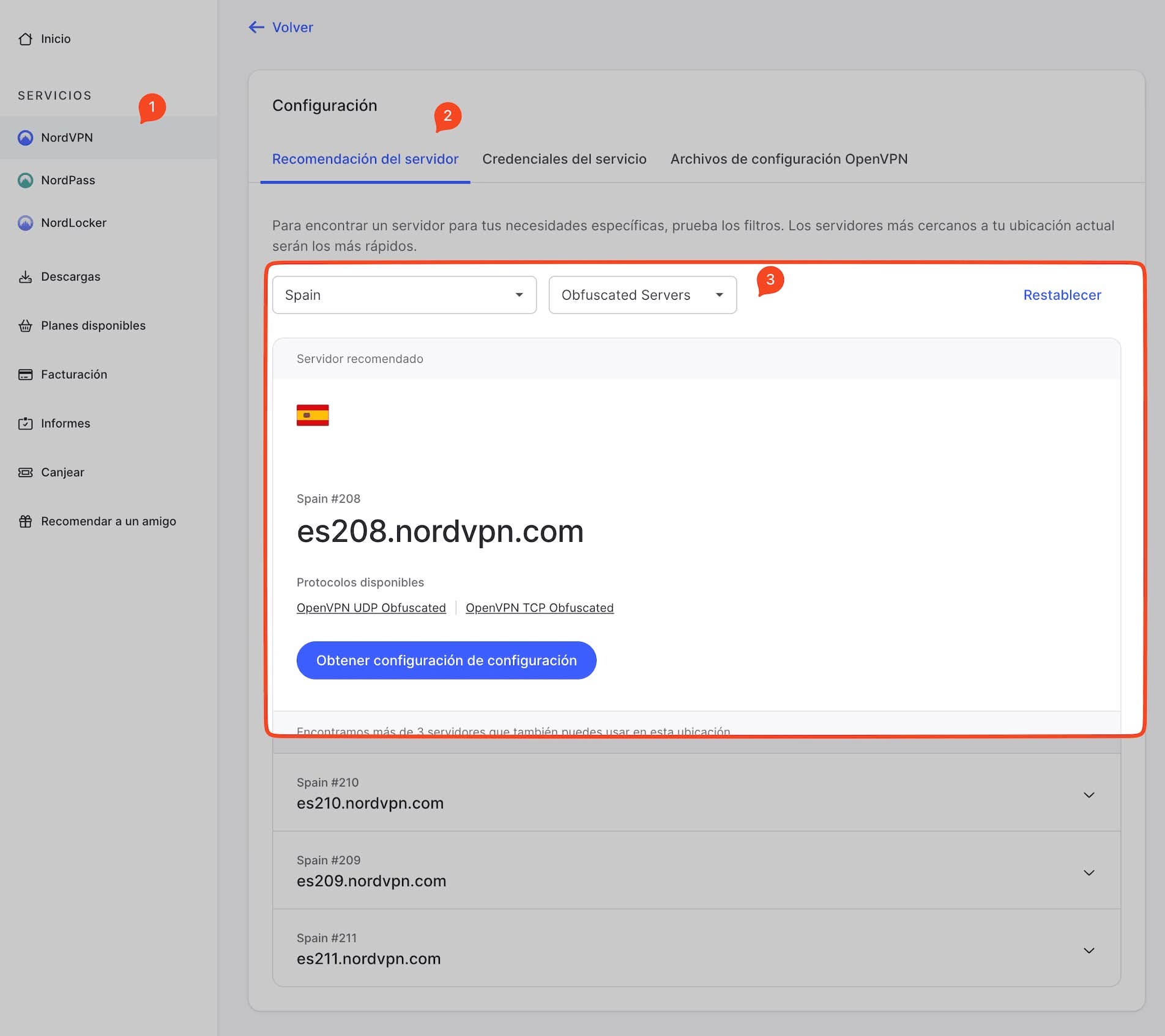 Configuración manual de servidores ofuscados de NordVPN en la cuenta en su web