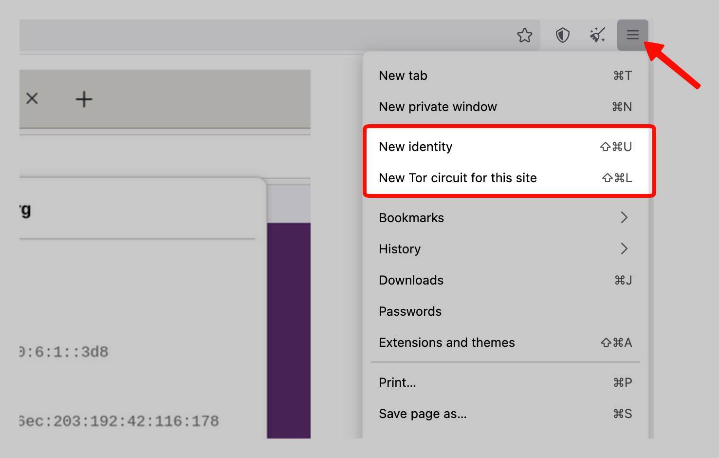 Nueva identidad y circuito en el navegador Tor.