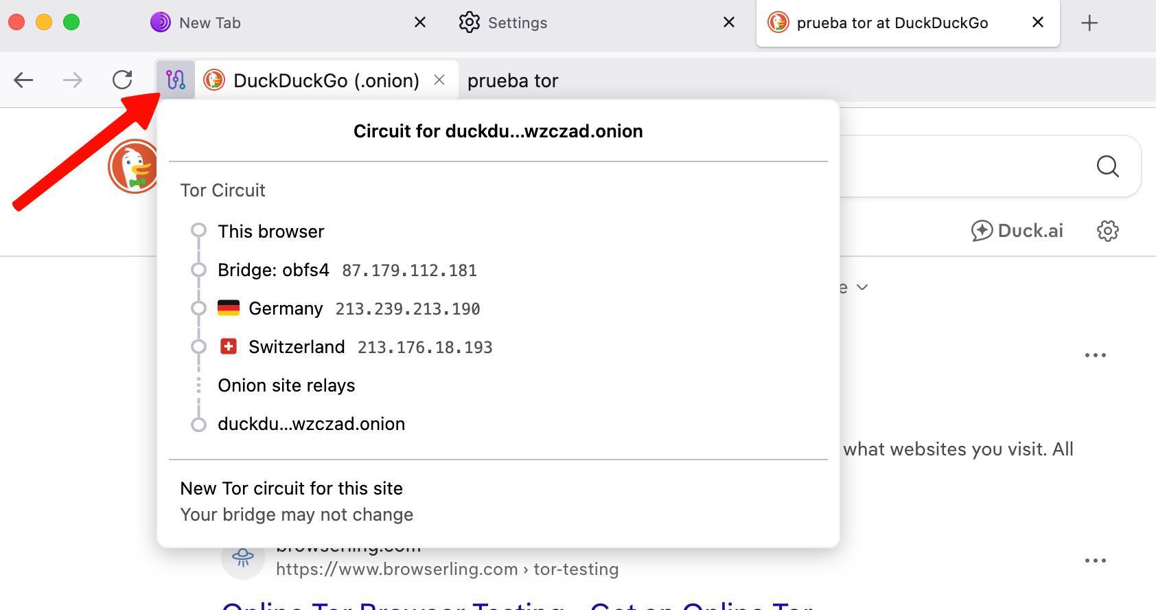 Circuito del navegador Tor